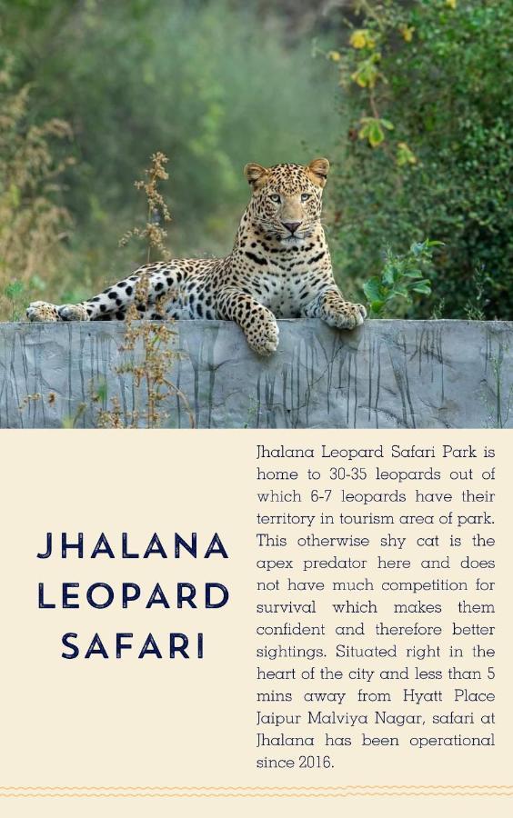 Hyatt Place Jaipur Malviya Nagar Exteriér fotografie Jhalana Leopard